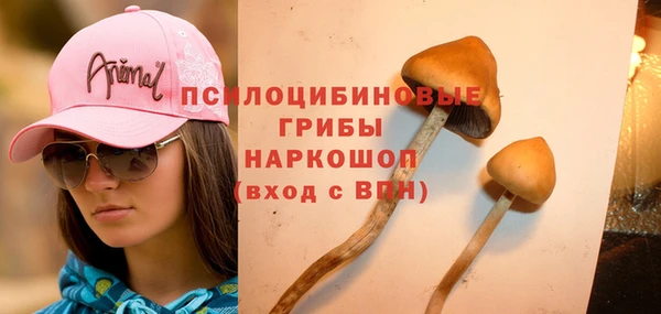 mix Аркадак