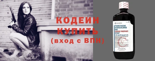 ECSTASY Няндома