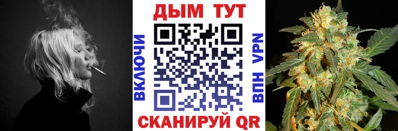 цены Бугуруслан Бошки Шишки гибрид